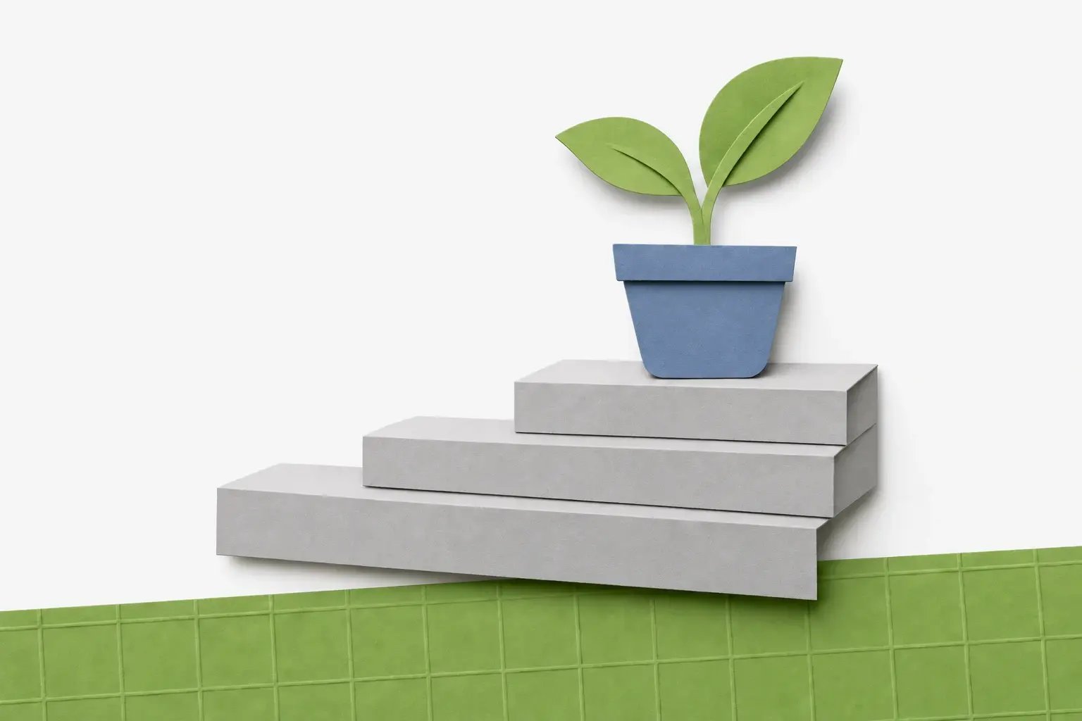Layered paper steps with a growing plant