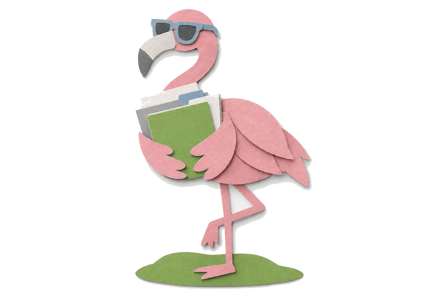 yef-resource-hub-flamingo-62ecc4bb
