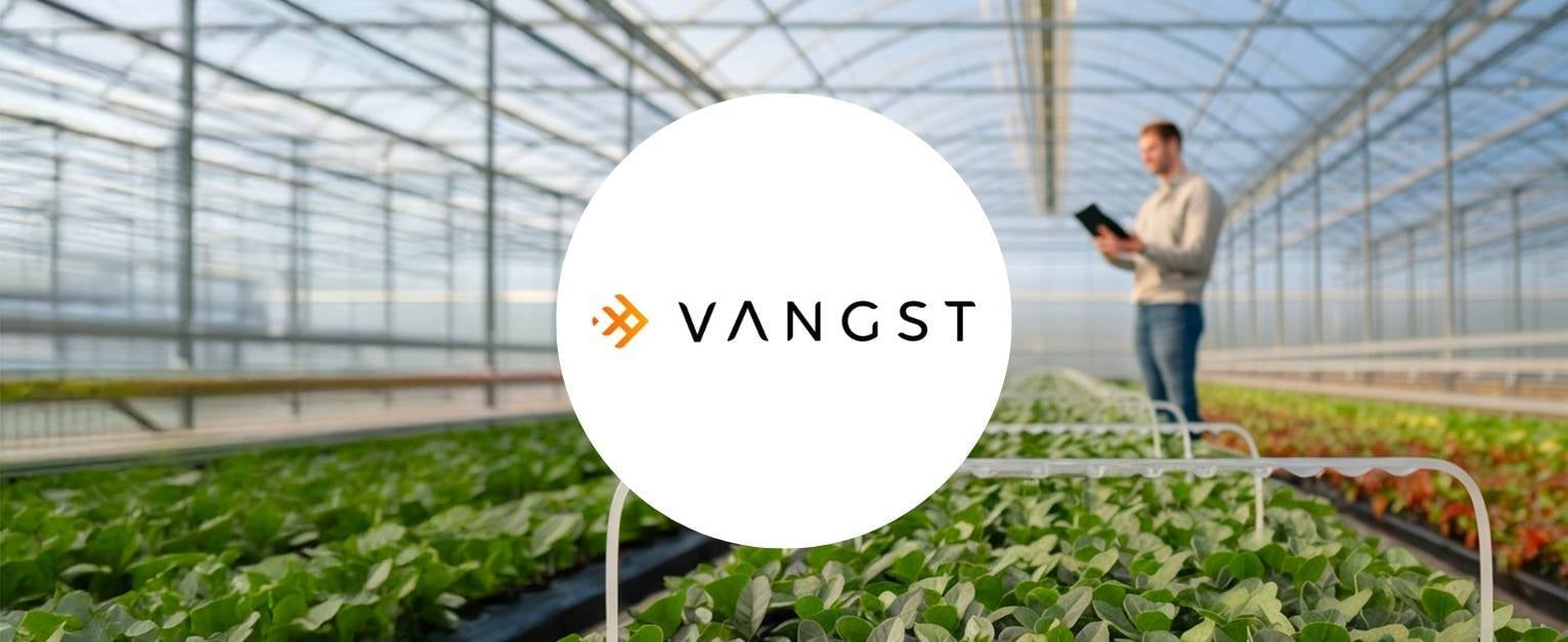 Vangst Case Study Cover Image