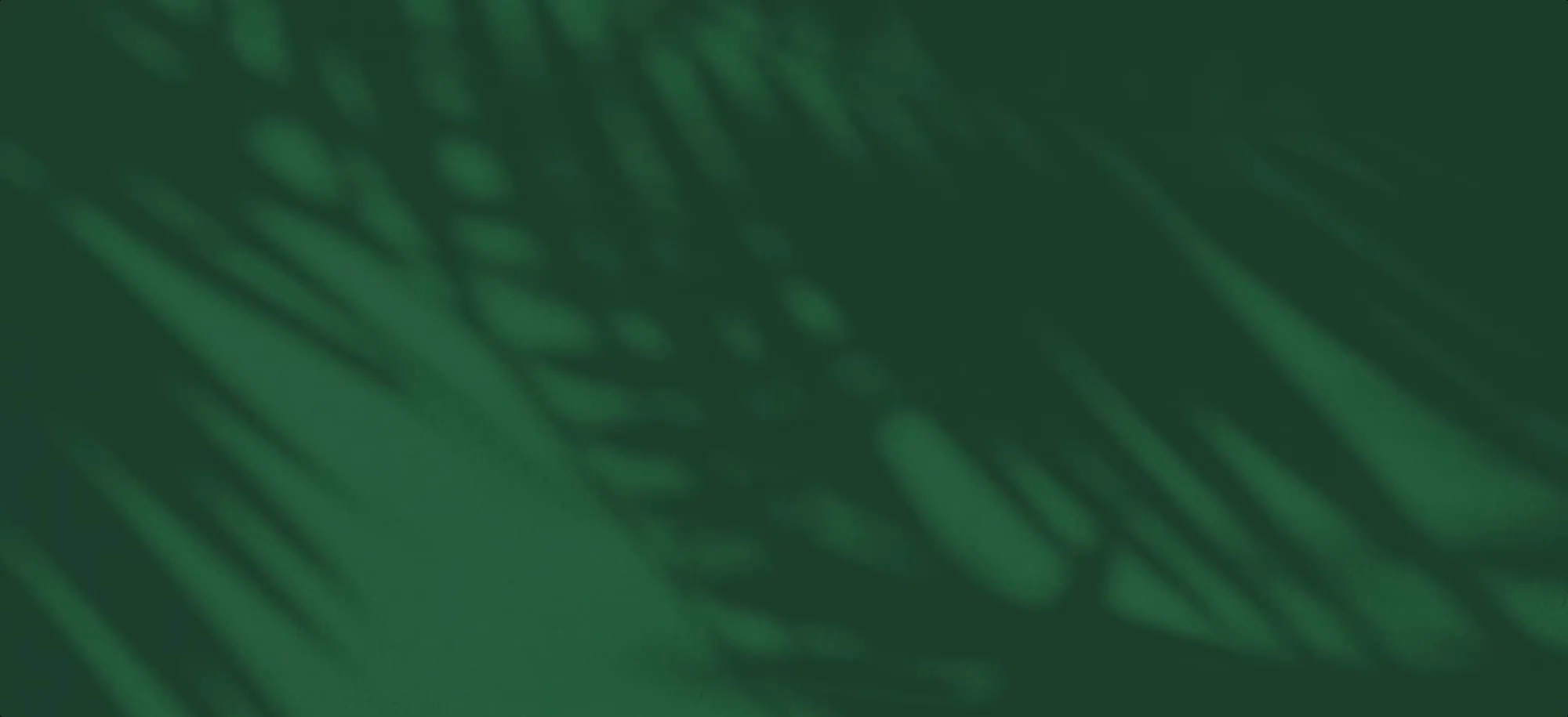 61e59be4c1469f7b634e9502_reseller-bg-p-2000