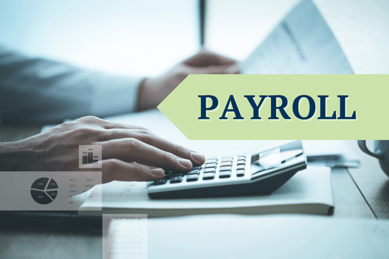 64c95865326476ea0626a670_GP Payroll Users Blog Thumbnail-p-800