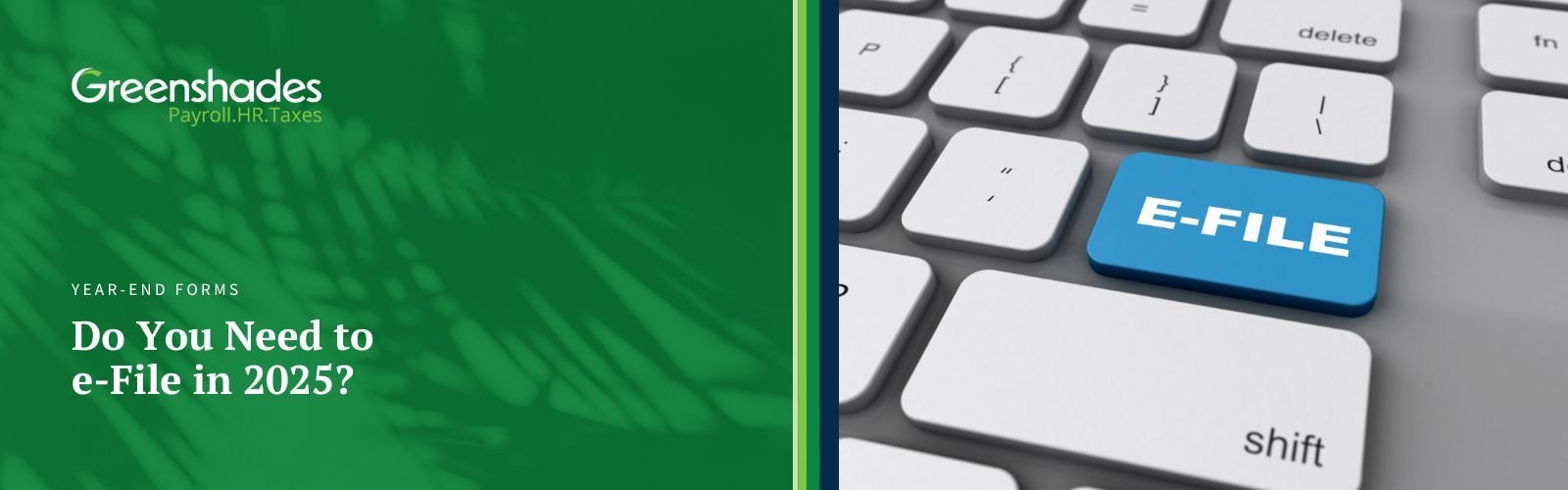 Do You Need to e-File in 2025 Blog Header