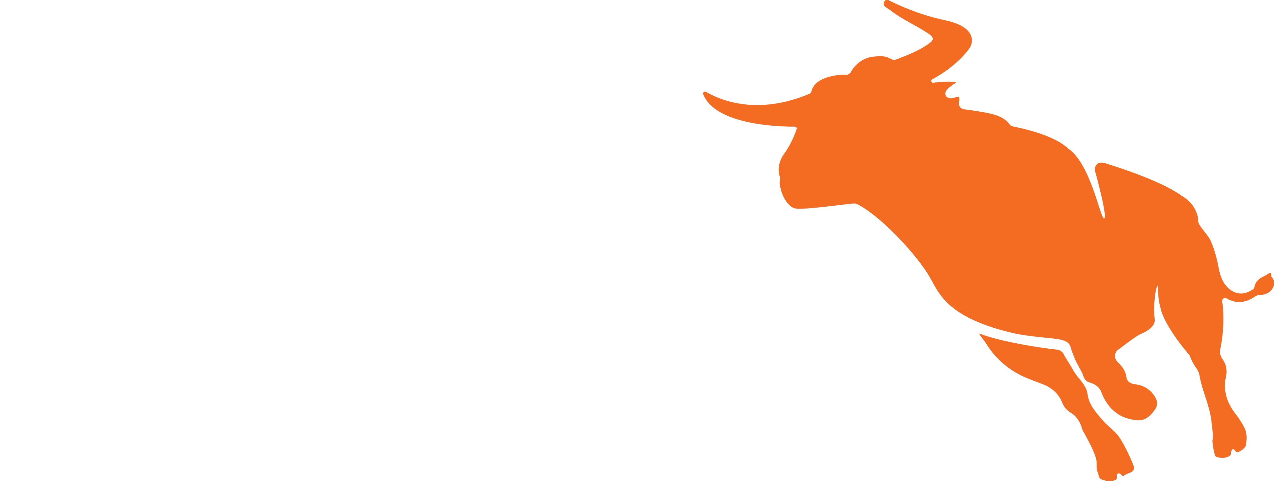 Bullhorn logo in white