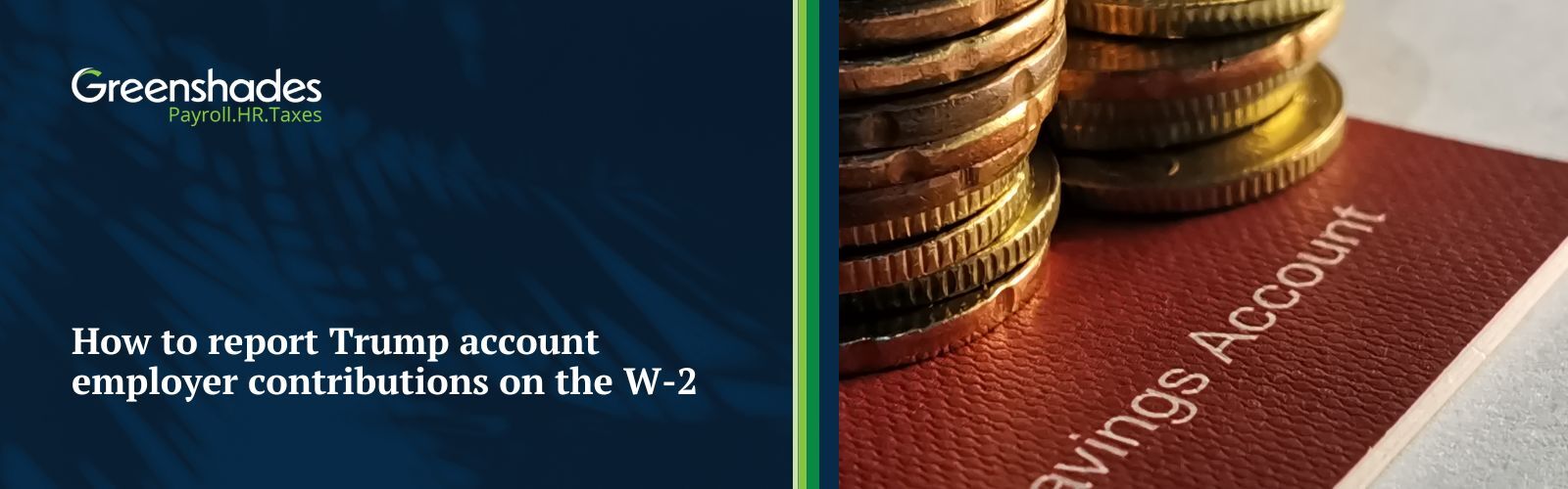 How to report Trump account employer contributions on the W-2 blog header