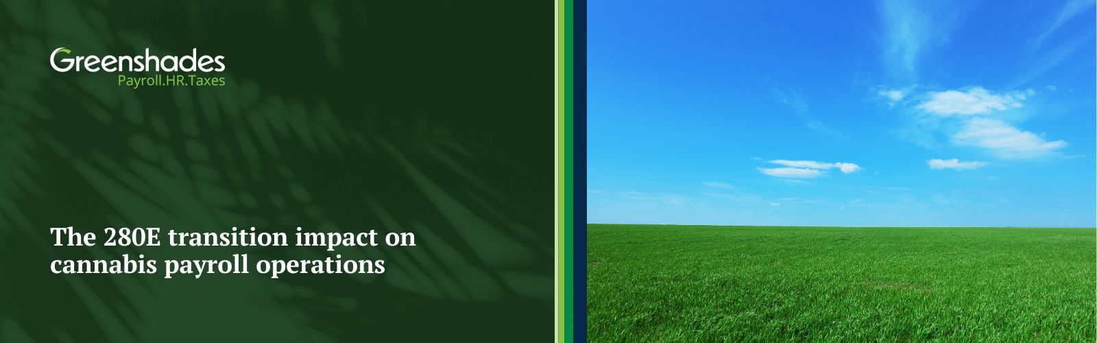 The 280E transition impact on cannabis payroll operations blog header
